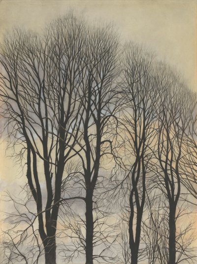 Tree in the Sky by Leon Spilliaert