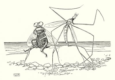 The Daddy Long-legs and the Fly by Leonard Leslie Brooke