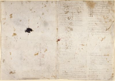 Drawings on the mechanical powers and forces, percussion, gravity, motion, optics and astronomy, with various arithmetical and geometrical propositions by Leonardo da Vinci