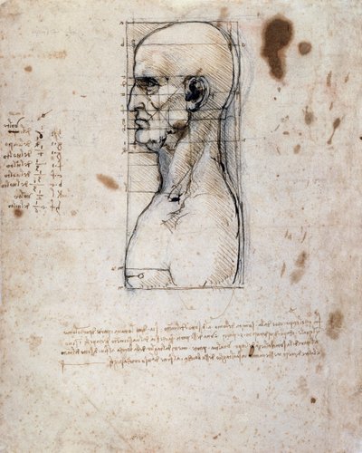 Bust of a man in profile with measurements and notes by Leonardo da Vinci