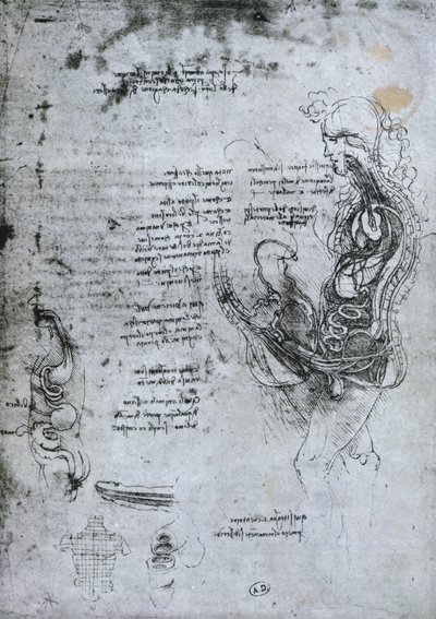 Coition of Hemisected Man and Woman, Facsimile Copy by Leonardo da Vinci