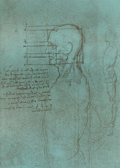 Drawing Illustrating the Theory of the Proportions of the Human Figure by Leonardo da Vinci