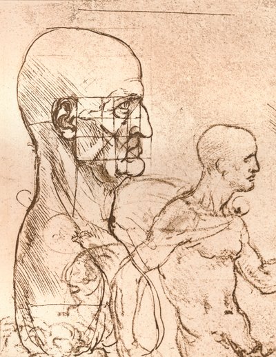 Drawing Illustrating the Theory of the Proportions of the Human Figure by Leonardo da Vinci