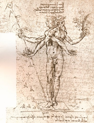 Drawing of an allegorical composition by Leonardo da Vinci