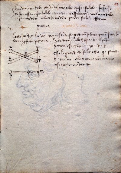 Extract from book of paintings, from Codex Trivulzianus by Leonardo da Vinci