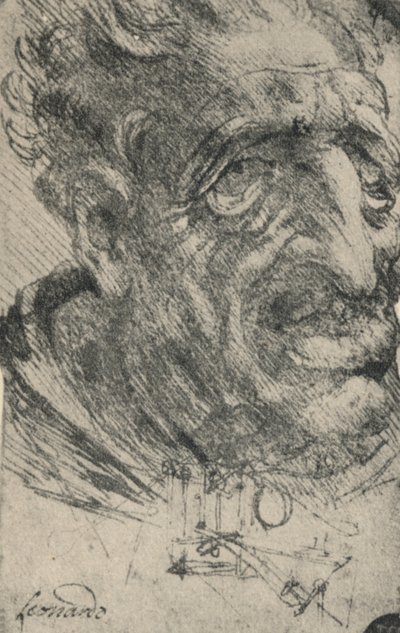Grotesque Head of a Man Turned Three-Quarters to the Right by Leonardo da Vinci