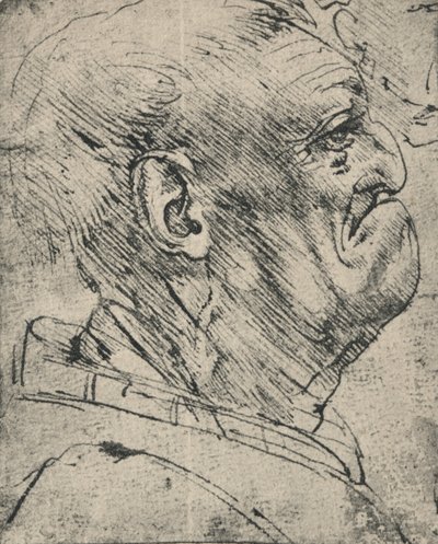 Grotesque Profile of a Man to the Right, c1480 by Leonardo da Vinci