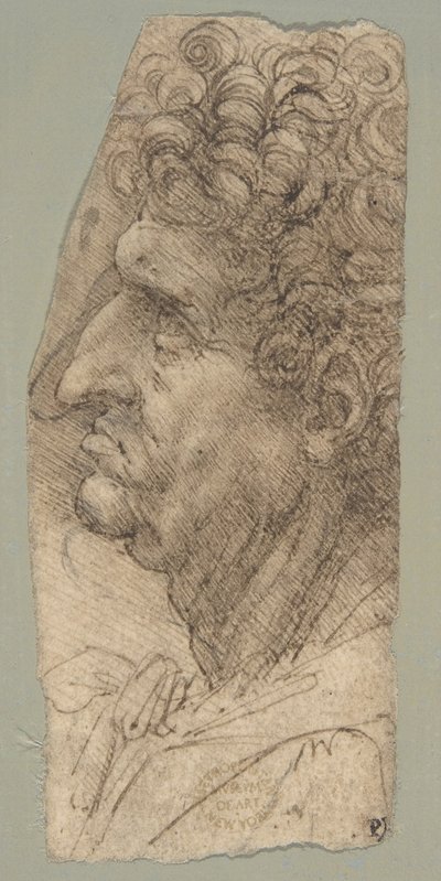 Head of a Man in Profile Facing to the Left by Leonardo da Vinci