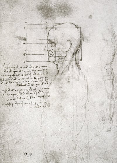 Head of an Old Man in Profile, facsimile copy by Leonardo da Vinci