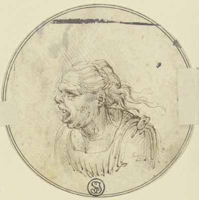 Caricature of a Woman with Open Mouth, Bust, in Profile to the Left by Leonardo da Vinci