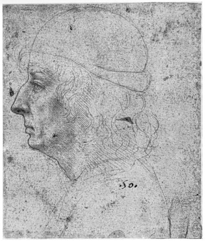 Portrait study of a man by Leonardo da Vinci