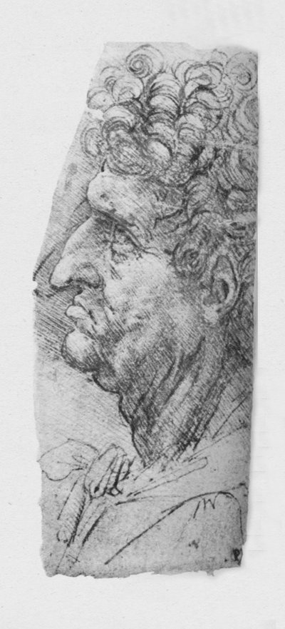 Profile to the Left of an Elderly Man with Curly Hair by Leonardo da Vinci
