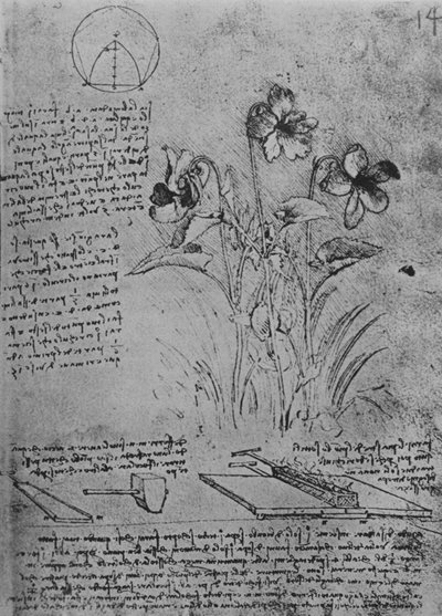 Studies of Violas and of Methods of Soldering Lead Roofs by Leonardo da Vinci