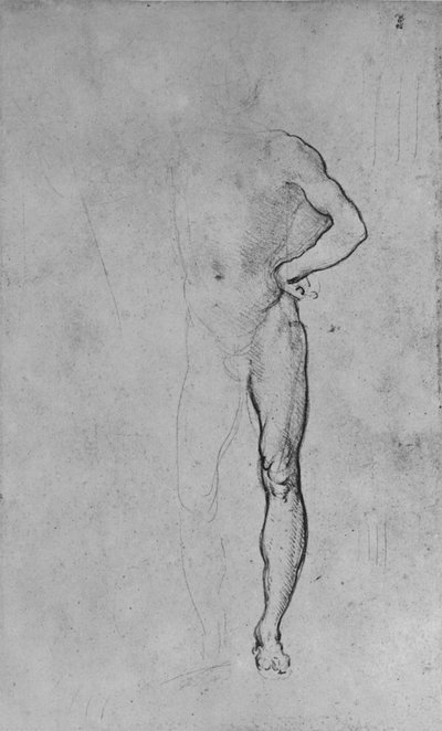 Study of a Nude Man with his Left Hand on His Hip, c1480 by Leonardo da Vinci