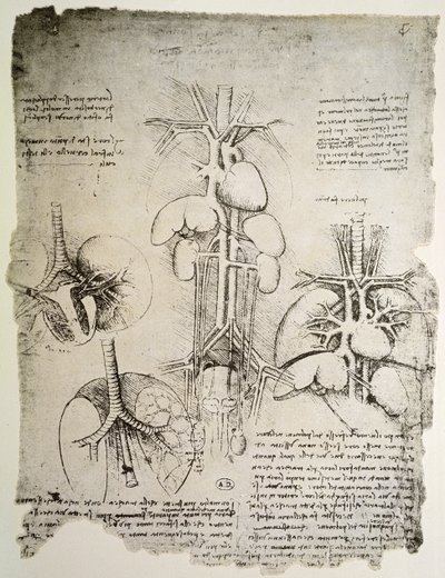 The Heart and the Circulation, facsimile of the Windsor book by Leonardo da Vinci
