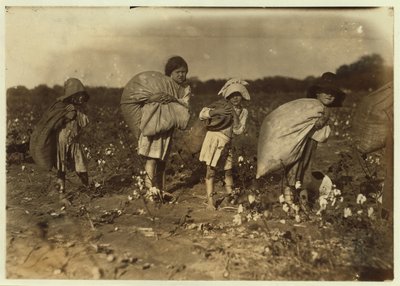 Edith 5 and Hughie 6 Pick Cotton All Day, Alton 7 Picks 50 Pounds and Ruth 9 Picks 75, at H.M. Lane