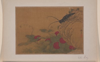 Grasshopper on Rock by Liang Wen