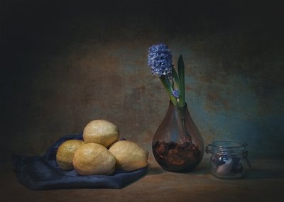 Moody Still Life Lemons by Liu Xing