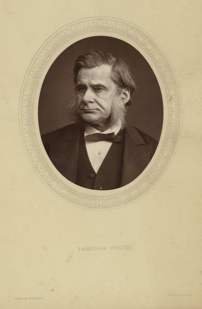 Portrait of Thomas Henry Huxley by Lock and Whitfield