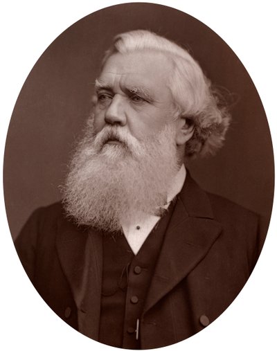 Right Hon Austen Henry Layard DCL, British Ambassador to Constantinople, 1877 by Lock and Whitfield