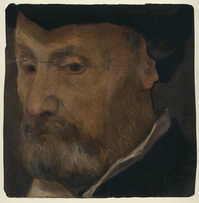 Portrait of a Man by Lorenzo Lotto