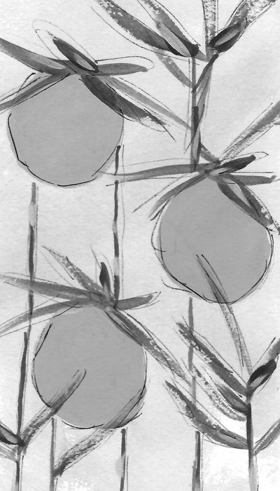 Organic Ink Botanicals by Lori Ann Folz