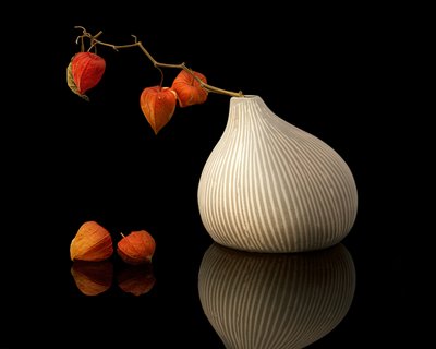 Chinese Lanterns Still Life by Louie Luo