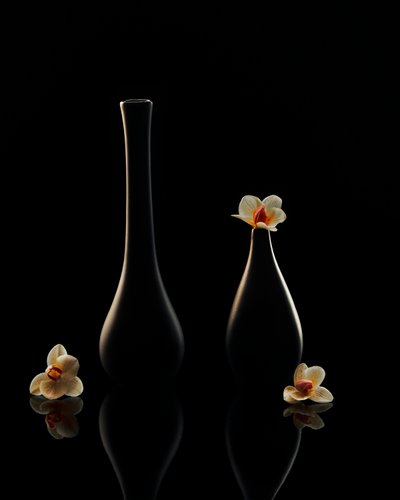 Elegant Orchid Reflections by Louie Luo
