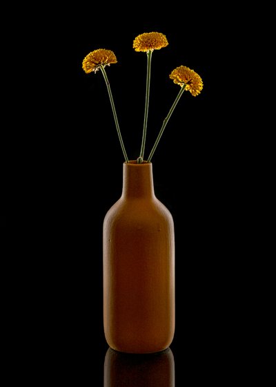 Warm Flowers Brown Vase by Louie Luo