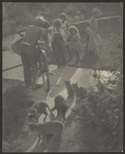 Children and Cats by Louis Fleckenstein