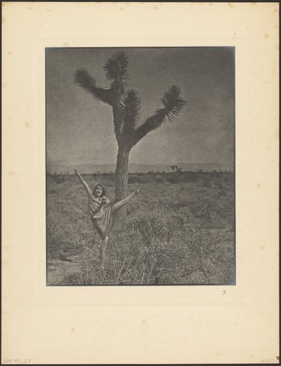 Dancer at Joshua Tree by Louis Fleckenstein