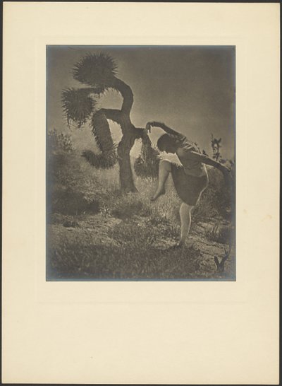 Dancing Spirit of the Joshua - First Lessons by Louis Fleckenstein