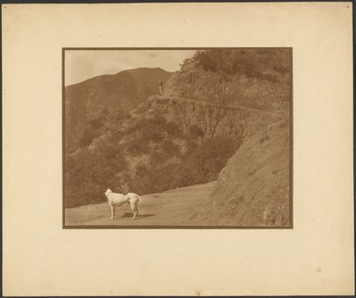 Dog and Woman in Mountainous Landscape by Louis Fleckenstein