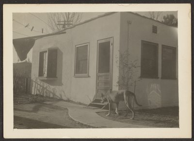 Dog near House by Louis Fleckenstein