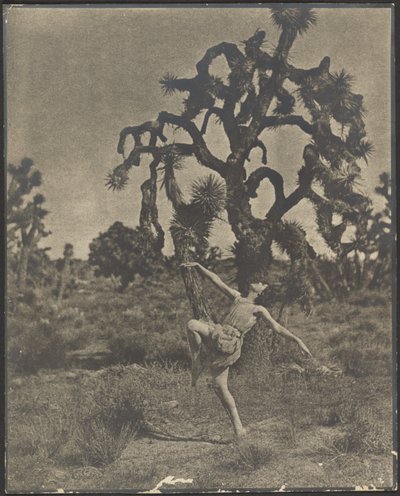 Inspiration of the Dance by Louis Fleckenstein