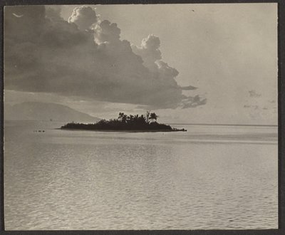 [Island Landscape] by Louis Fleckenstein