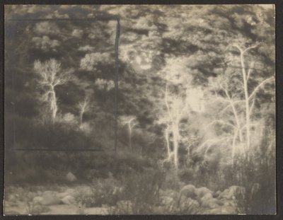 [Landscape with Bright Trees] by Louis Fleckenstein