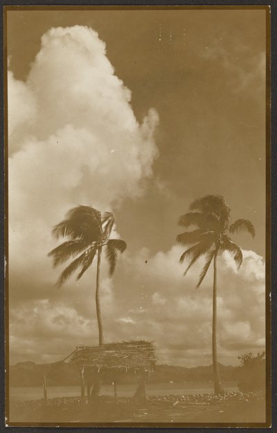 Landscape with Palm Trees by Louis Fleckenstein