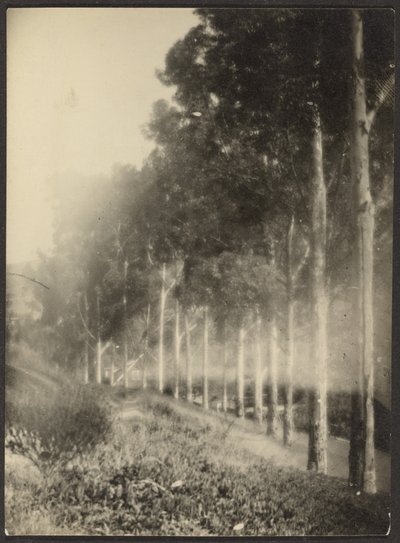 Landscape with Row of Trees by Louis Fleckenstein