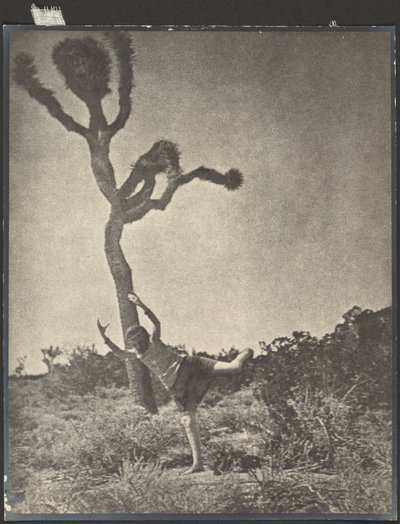 Lithe and Graceful - Dancing Joshua by Louis Fleckenstein