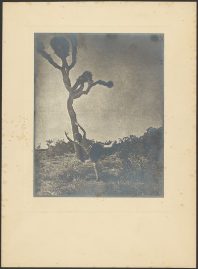 Lithe and Graceful - Dancing Joshua by Louis Fleckenstein
