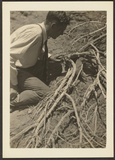 Man with Roots by Louis Fleckenstein