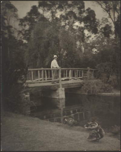 Rustic Bridge by Louis Fleckenstein