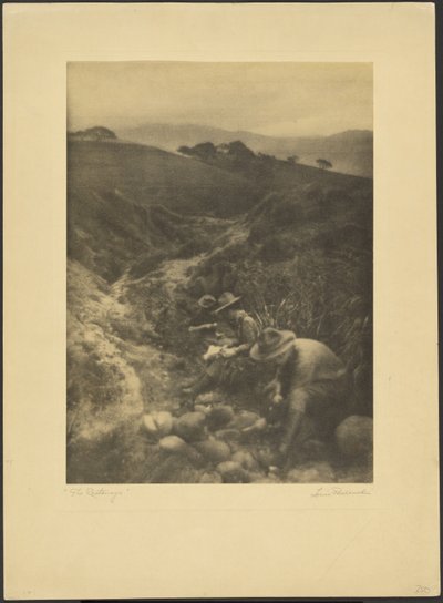 The Castaways by Louis Fleckenstein