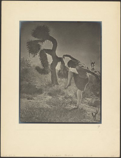The Clownish Joshua by Louis Fleckenstein