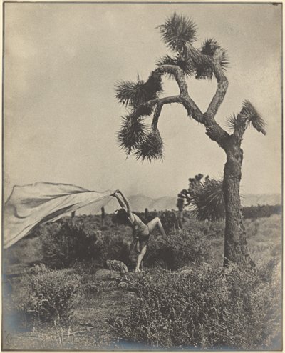 The Desert Wind by Louis Fleckenstein