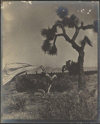 The Desert Wind by Louis Fleckenstein