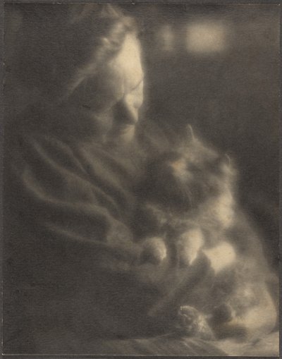 The Pet Angora by Louis Fleckenstein
