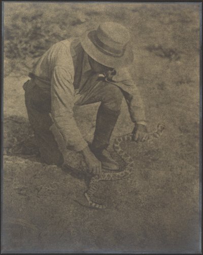 The Struggle by Louis Fleckenstein