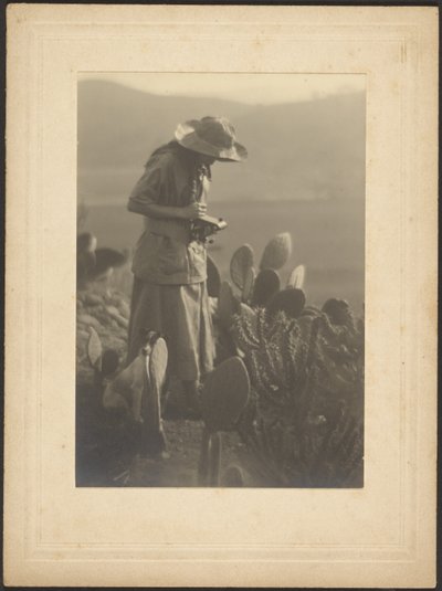 [Woman Making Notes on Cacti] by Louis Fleckenstein